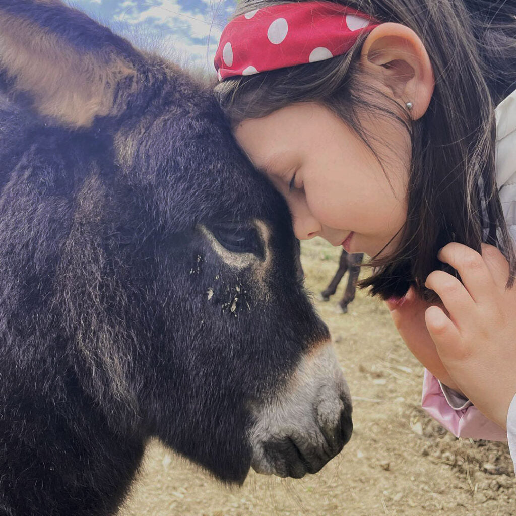 Bambina a contatto con l’asinella di Bio & Brado
